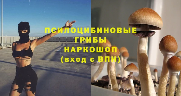 спиды Вязники